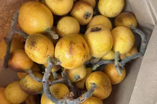 9752 Tareyton Ave, San Ramon, CA 94583 - Photo 41