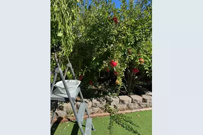 9752 Tareyton Ave, San Ramon, CA 94583 - Photo 45