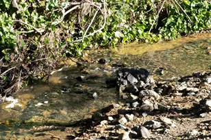 9600 Golf Links, Oakland, CA 94605 - Photo 11