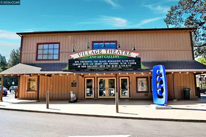 48 Danville Oak Pl, Danville, CA 94526 - Photo 41