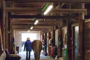 3124 Shire Ln, Walnut Creek, CA 94598 - Photo 31