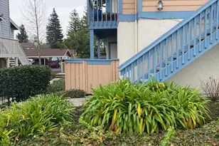 65 Glenwood, Hercules, CA 94547 - Photo 19