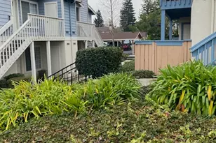 65 Glenwood, Hercules, CA 94547 - Photo 21