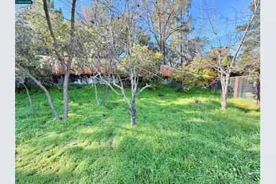 14 Bristol Ct, Pleasant Hill, CA 94523 - Photo 31
