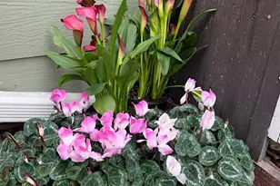 4706 San Pablo Dam Rd, El Sobrante, CA 94803 - Photo 3