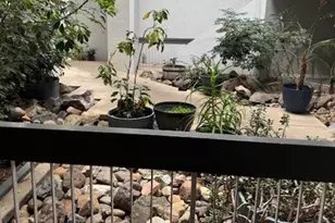 1591 Ellis St, Concord, CA 94520 - Photo 5