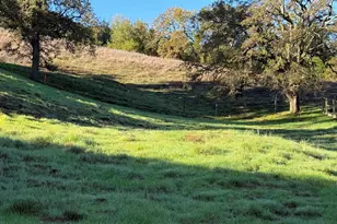 Westridge Ave, Danville, CA 94526 - Photo 23