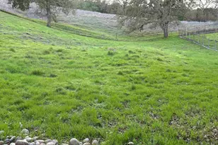 Westridge Ave, Danville, CA 94526 - Photo 19