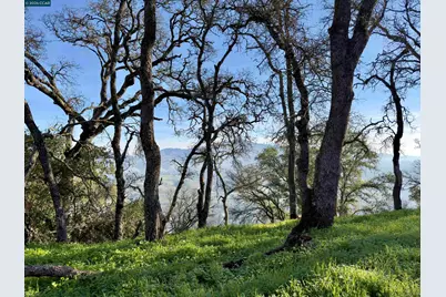 0 Castle Crest Rd, Alamo, CA 94507 - Photo 5