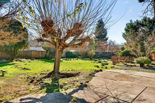 133 Sylvan Rd, Walnut Creek, CA 94596 - Photo 25