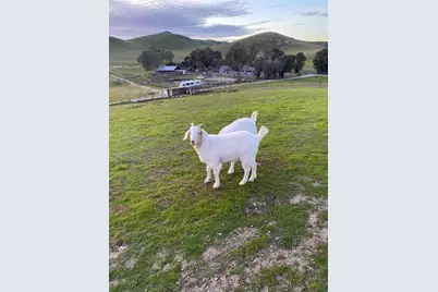 3326 Dyer Rd, Livermore, CA 94551 - Photo 9