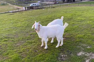 3326 Dyer Rd, Livermore, CA 94551 - Photo 9