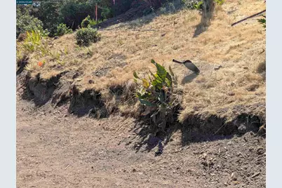 13 St James  Court, Orinda, CA 94563 - Photo 19