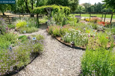 183 Miramonte Dr, Moraga, CA 94556 - Photo 51