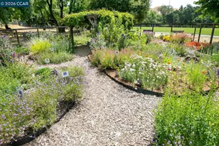 183 Miramonte Dr, Moraga, CA 94556 - Photo 51