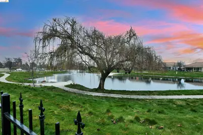 342 Desert Forest Ct, Rio Vista, CA 94571 - Photo 9