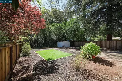 3597 Walnut St, Lafayette, CA 94549 - Photo 5