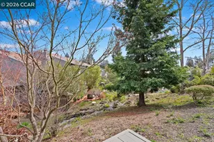 7 Doral Dr, Moraga, CA 94556 - Photo 25