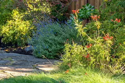 7607 Valentine St, Oakland, CA 94605 - Photo 21