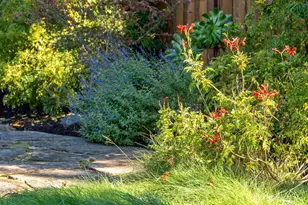 7607 Valentine St, Oakland, CA 94605 - Photo 21