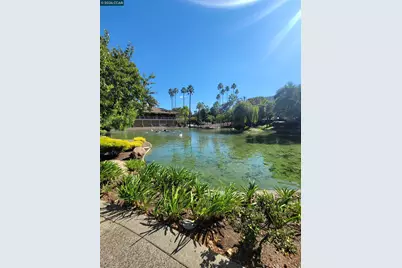 310 Civic Dr. #315, Walnut Creek, CA 94597 - Photo 3