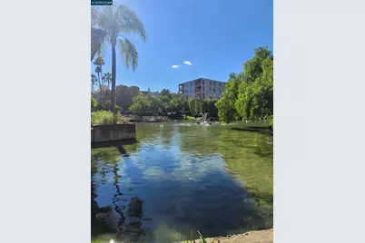 310 Civic Dr. #315, Walnut Creek, CA 94597 - Photo 21