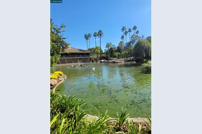 310 Civic Dr. #315, Walnut Creek, CA 94597 - Photo 3