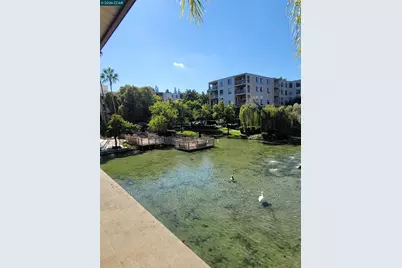 310 Civic Dr. #315, Walnut Creek, CA 94597 - Photo 35