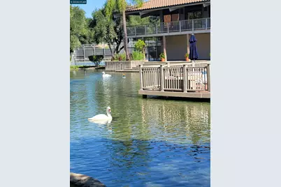 310 Civic Dr. #315, Walnut Creek, CA 94597 - Photo 45