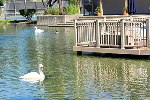 310 Civic Dr, Walnut Creek, CA 94597 - Photo 45