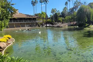 310 Civic Dr, Walnut Creek, CA 94597 - Photo 5