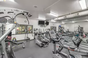 1332 Shelter Creek Ln, San Bruno, CA 94066 - Photo 43