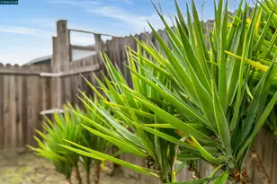 2831 Almond St, Martinez, CA 94553 - Photo 31