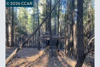 9471 Wildcat Rd, Kelseyville, CA 95451 - Photo 11