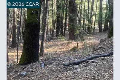 9471 Wildcat Rd, Kelseyville, CA 95451 - Photo 7