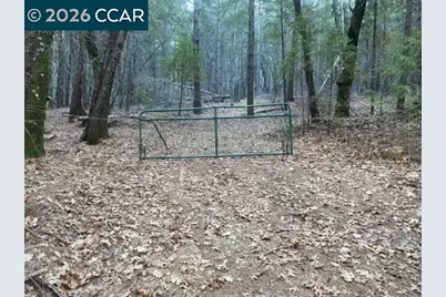 9471 Wildcat Rd, Kelseyville, CA 95451 - Photo 9