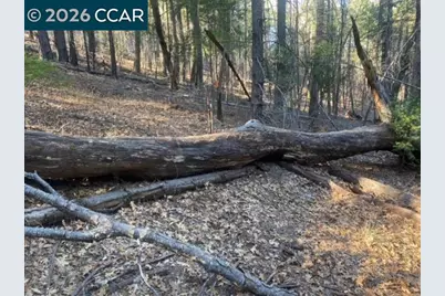 9471 Wildcat Rd, Kelseyville, CA 95451 - Photo 5