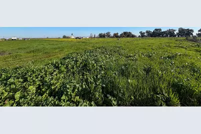 000 Learning Tree Lane, Brentwood, CA 94513 - Photo 5