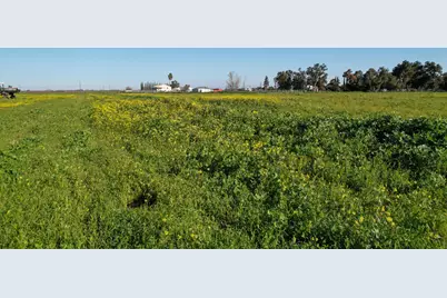 000 Learning Tree Lane, Brentwood, CA 94513 - Photo 15