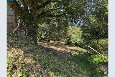 1110 Sterling Av, Berkeley, CA 94708 - Photo 19