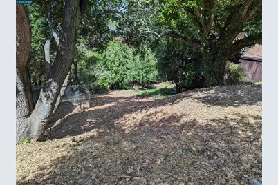 1110 Sterling Ave., Berkeley, CA 94708 - Photo 21