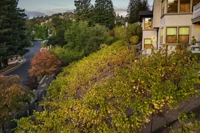 13 Kemp Ct, Alamo, CA 94507 - Photo 37