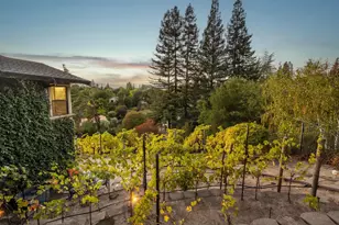 13 Kemp Ct, Alamo, CA 94507 - Photo 39