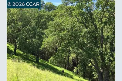 283 Castle Hill Ranch Rd, Walnut Creek, CA 94595 - Photo 21