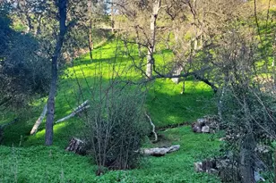 5250 Treosti Pl, Valley Springs, CA 95252 - Photo 41