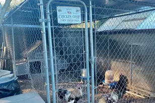 5250 Treosti Pl, Valley Springs, CA 95252 - Photo 37