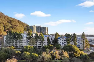 535 Pierce St, Albany, CA 94706 - Photo 31