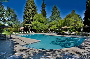 311 Pimlico Dr, Walnut Creek, CA 94597 - Photo 23