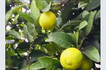 1034 Trenton Blvd, San Pablo, CA 94806 - Photo 23