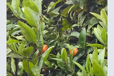 1034 Trenton Blvd, San Pablo, CA 94806 - Photo 21